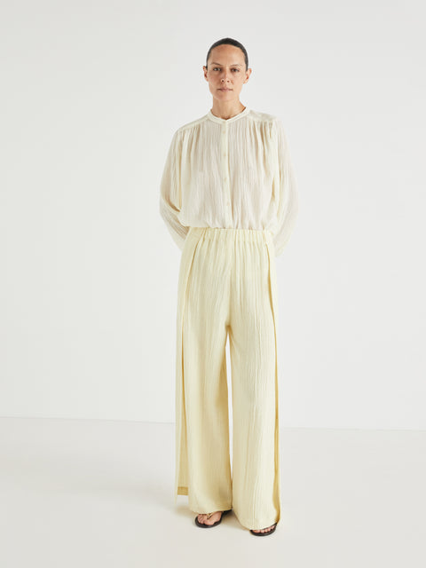 Seed Pants