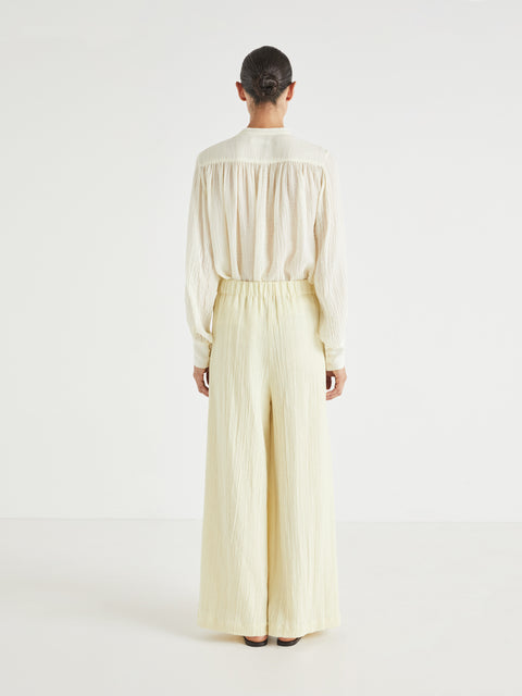 Seed Pants